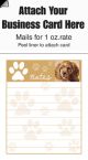 Puppy Note Pads